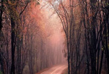 克罗伊夫斯特列表示多特蒙德仍需加强实力